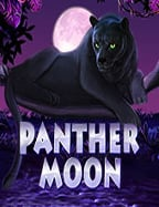 วิธีสมัคร mm88bet เพื่อทดลองเล่นเกมอย่างมืออาชีพ